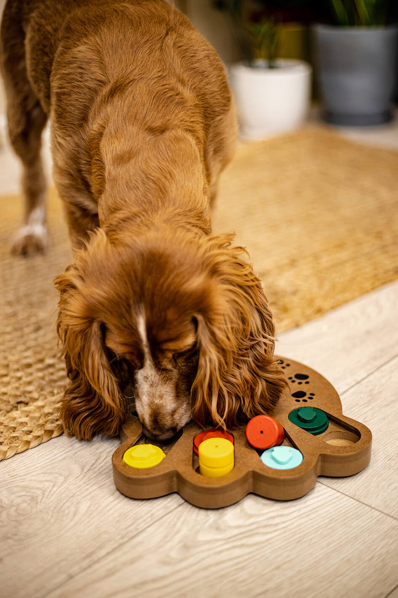 PAW interaktives Hundespielzeug