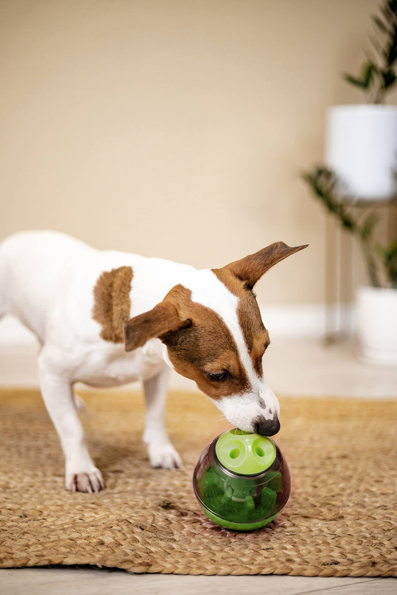 JAJO Interaktives Hundespielzeug mit Futterspender